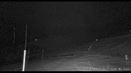 Marmot Basin: Upper Mountain (skimarmot.com)