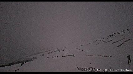 Marmot Basin: Upper Mountain (skimarmot.com)