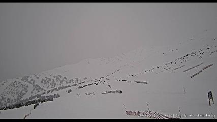 Marmot Basin: Upper Mountain (skimarmot.com)