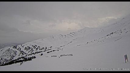Marmot Basin: Upper Mountain (skimarmot.com)