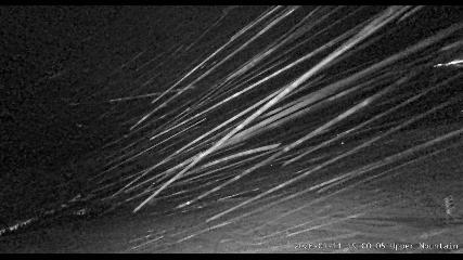 Marmot Basin: Upper Mountain (skimarmot.com)