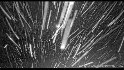 Marmot Basin: Upper Mountain (skimarmot.com)