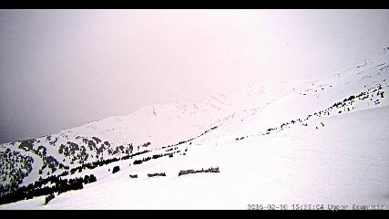 Marmot Basin: Upper Mountain (skimarmot.com)