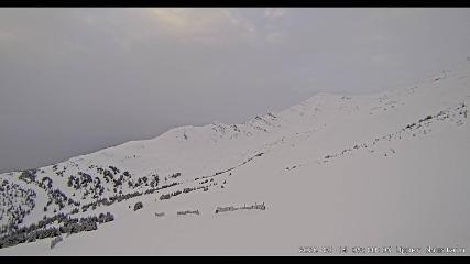 Marmot Basin: Upper Mountain (skimarmot.com)