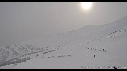 Marmot Basin: Upper Mountain (skimarmot.com)