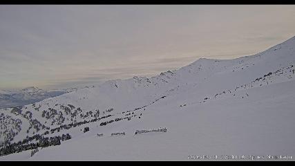 Marmot Basin: Upper Mountain (skimarmot.com)