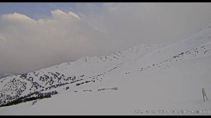 Marmot Basin: Upper Mountain (skimarmot.com)