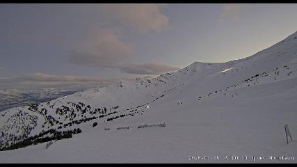 Marmot Basin: Upper Mountain (skimarmot.com)