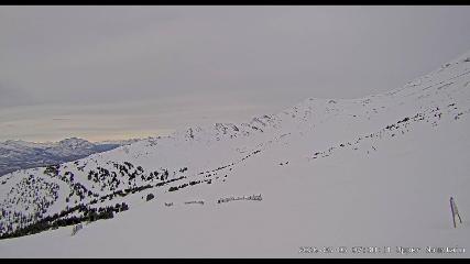 Marmot Basin: Upper Mountain (skimarmot.com)