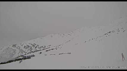 Marmot Basin: Upper Mountain (skimarmot.com)