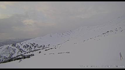 Marmot Basin: Upper Mountain (skimarmot.com)