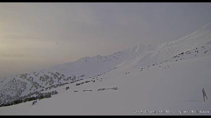 Marmot Basin: Upper Mountain (skimarmot.com)