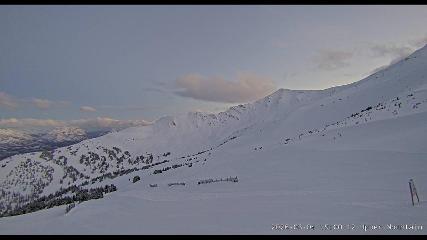 Marmot Basin: Upper Mountain (skimarmot.com)