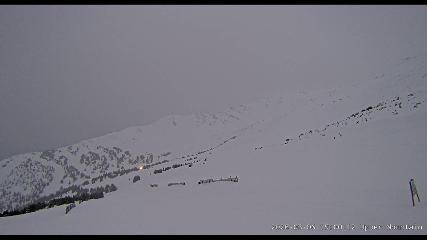 Marmot Basin: Upper Mountain (skimarmot.com)