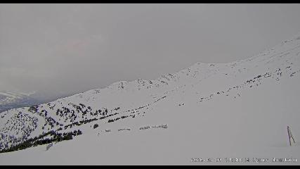 Marmot Basin: Upper Mountain (skimarmot.com)