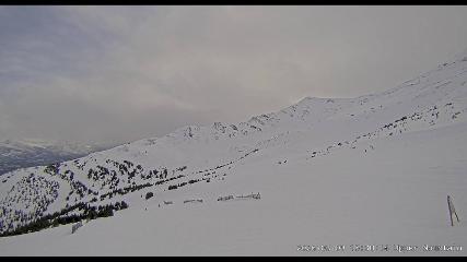 Marmot Basin: Upper Mountain (skimarmot.com)