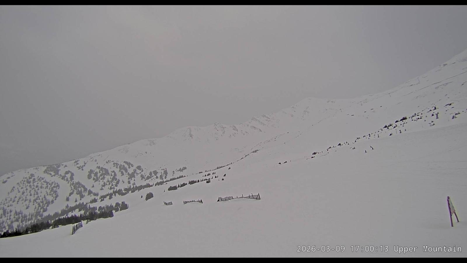 Webcam Marmot Basin: Upper Mountain