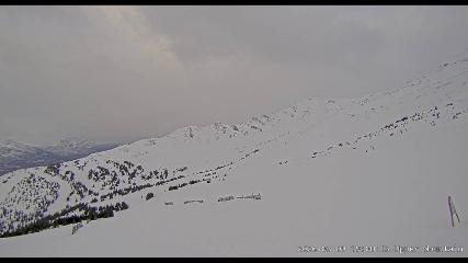 Marmot Basin: Upper Mountain (skimarmot.com)