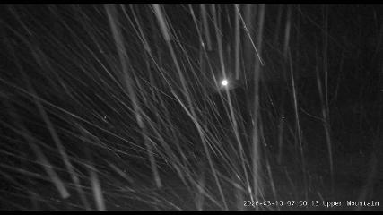 Marmot Basin: Upper Mountain (skimarmot.com)