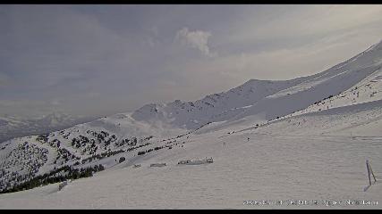 Marmot Basin: Upper Mountain (skimarmot.com)