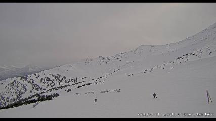 Marmot Basin: Upper Mountain (skimarmot.com)