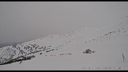 Marmot Basin: Upper Mountain (skimarmot.com)