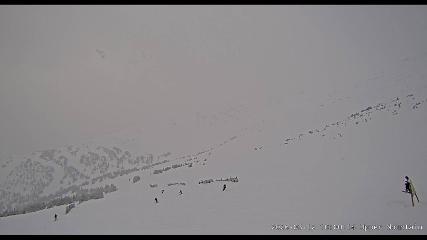 Marmot Basin: Upper Mountain (skimarmot.com)