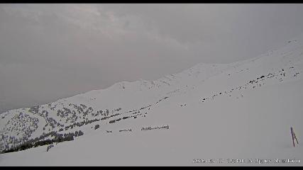 Marmot Basin: Upper Mountain (skimarmot.com)