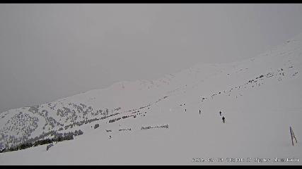 Marmot Basin: Upper Mountain (skimarmot.com)