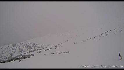 Marmot Basin: Upper Mountain (skimarmot.com)