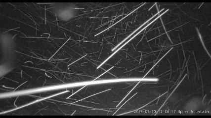 Marmot Basin: Upper Mountain (skimarmot.com)