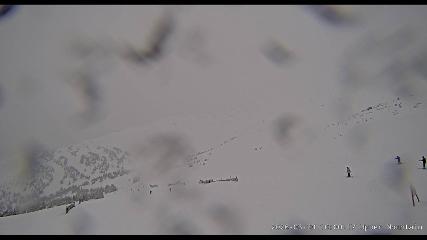 Marmot Basin: Upper Mountain (skimarmot.com)