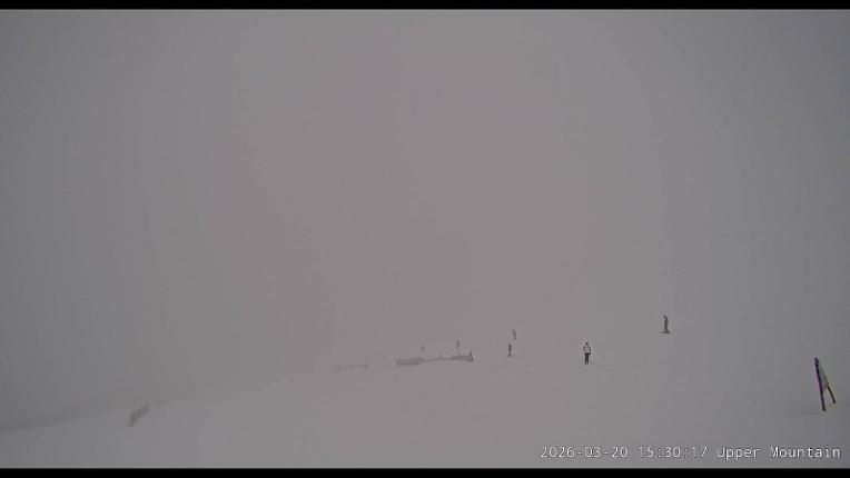 Webcam Marmot Basin: Upper Mountain