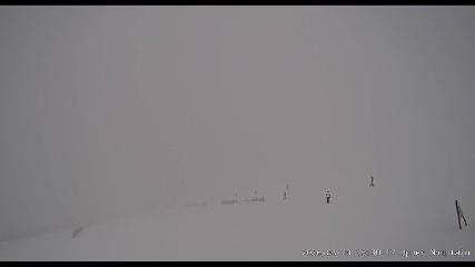 Marmot Basin: Upper Mountain (skimarmot.com)