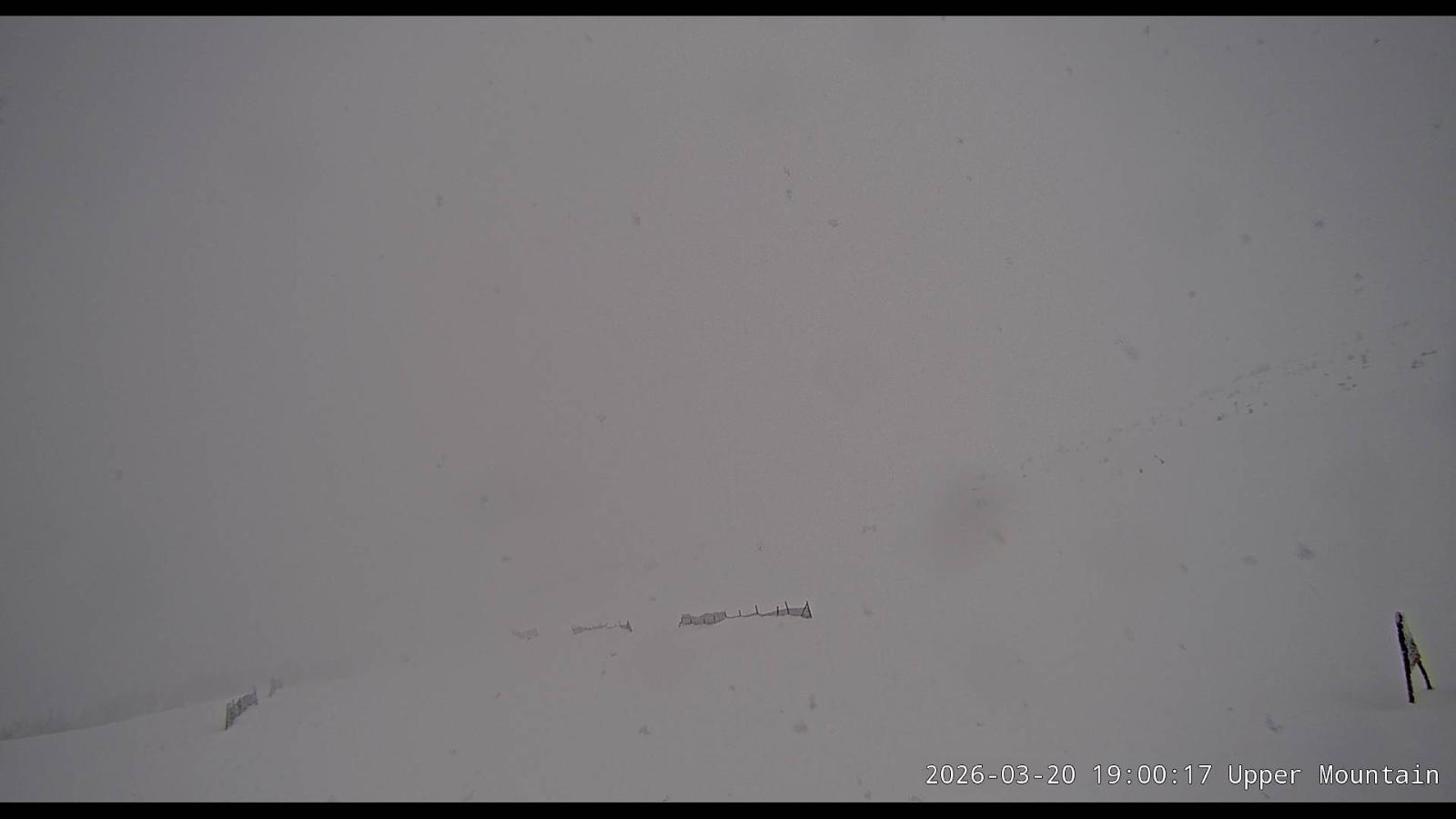 Webcam Marmot Basin: Upper Mountain