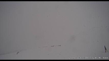 Marmot Basin: Upper Mountain (skimarmot.com)