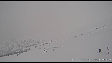 Marmot Basin: Upper Mountain (skimarmot.com)