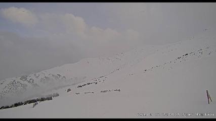 Marmot Basin: Upper Mountain (skimarmot.com)