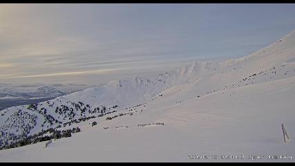 Marmot Basin: Upper Mountain (skimarmot.com)