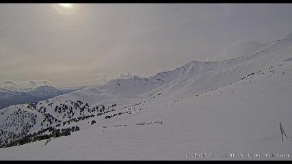 Marmot Basin: Upper Mountain (skimarmot.com)