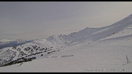 Marmot Basin: Upper Mountain (skimarmot.com)