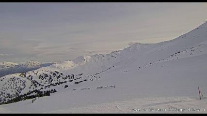 Marmot Basin: Upper Mountain (skimarmot.com)