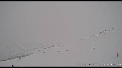 Marmot Basin: Upper Mountain (skimarmot.com)