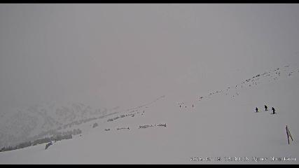 Marmot Basin: Upper Mountain (skimarmot.com)