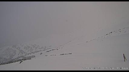 Marmot Basin: Upper Mountain (skimarmot.com)