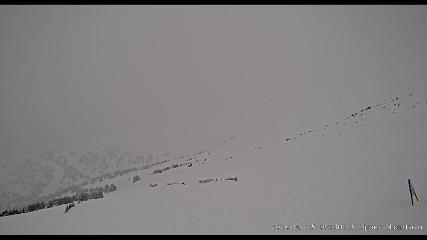 Marmot Basin: Upper Mountain (skimarmot.com)