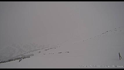 Marmot Basin: Upper Mountain (skimarmot.com)