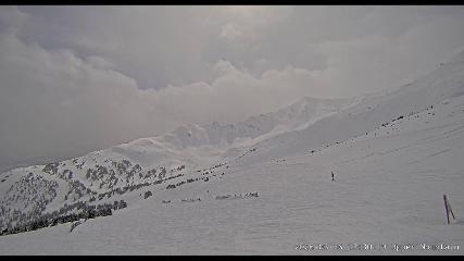 Marmot Basin: Upper Mountain (skimarmot.com)