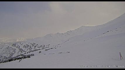 Marmot Basin: Upper Mountain (skimarmot.com)