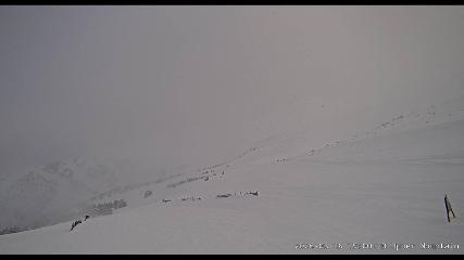 Marmot Basin: Upper Mountain (skimarmot.com)